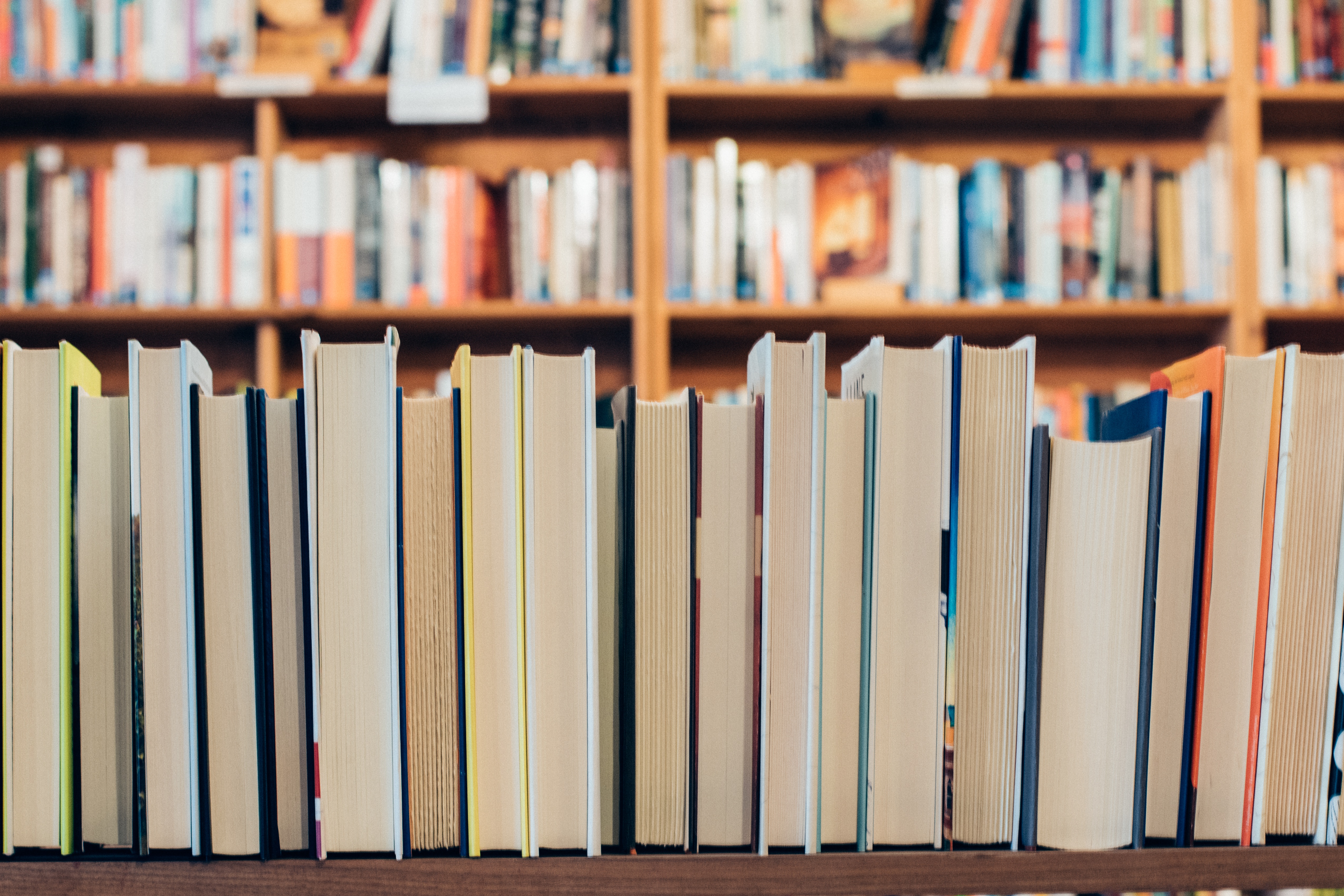 A line of books on a shelf