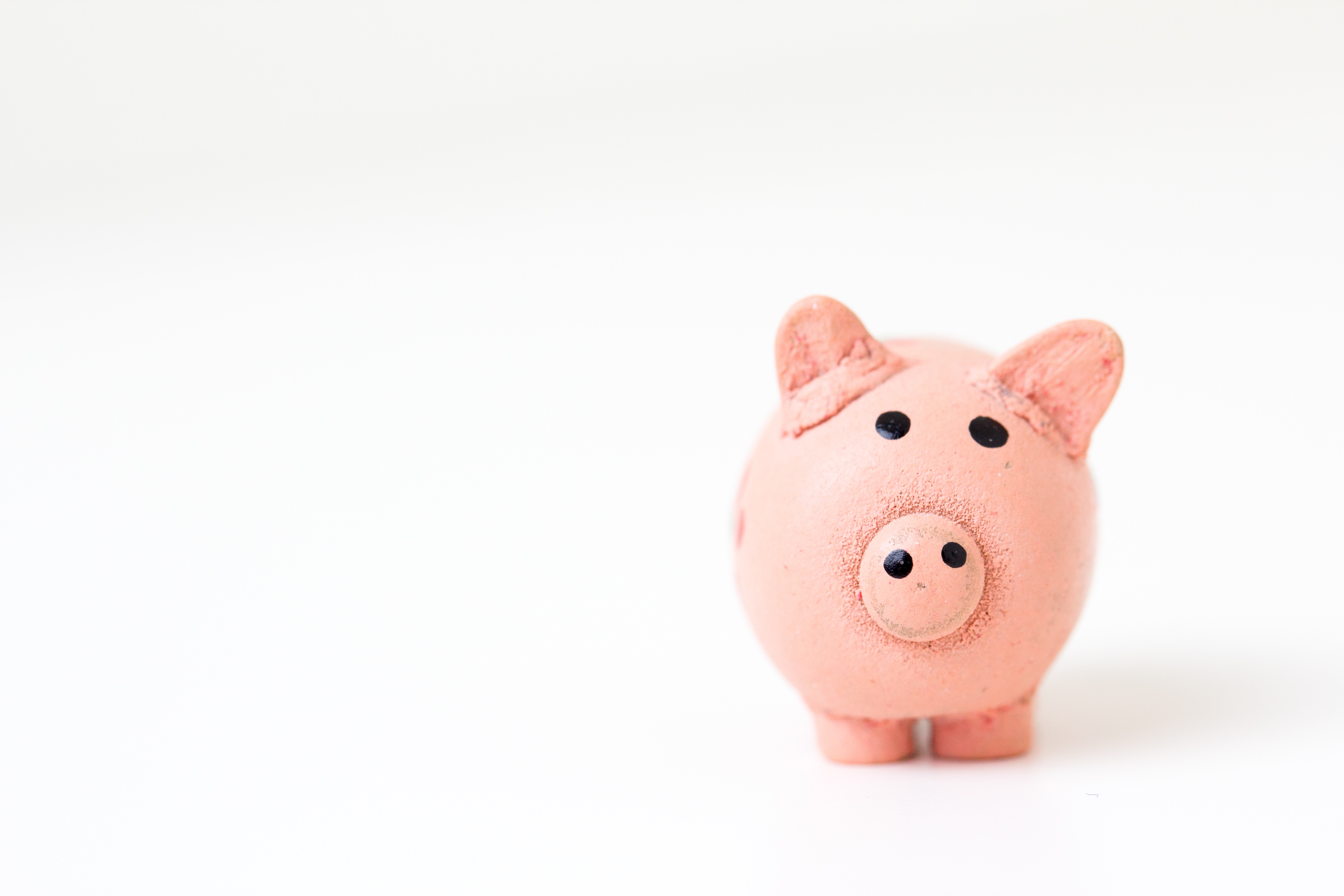 A porceline piggy bank on a white background.