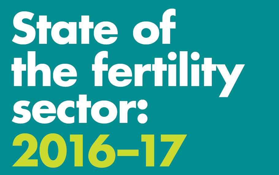Front cover of the state of the sector report