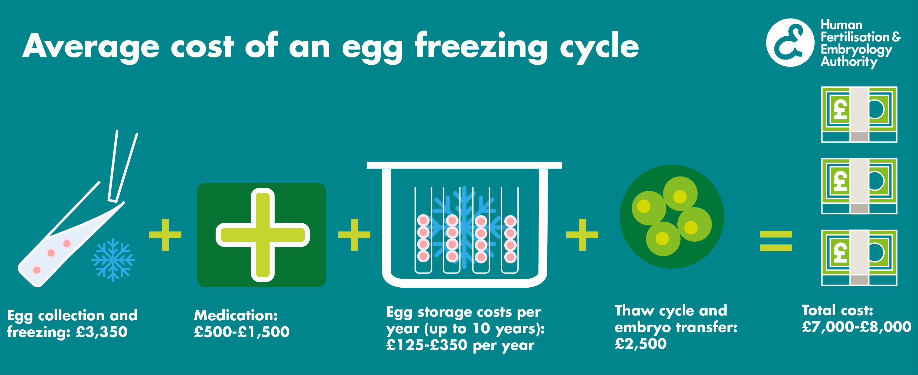 Egg freezing Human Fertilisation and Embryology Authority