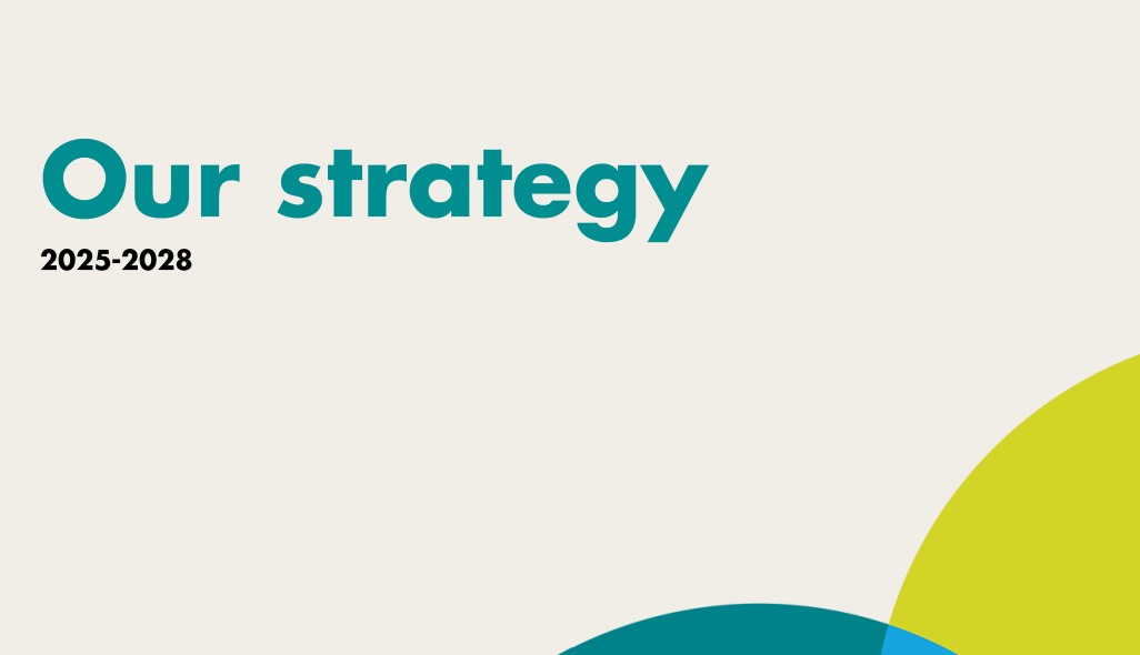 Hfea Strategy 2025 2028 thumbnail