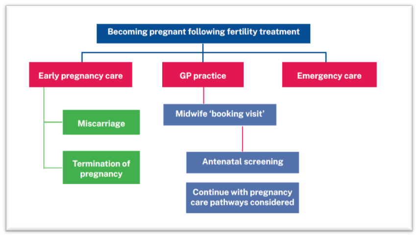 Becoming pregnant following fertility treatment